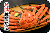 11月から3月は越前がに
