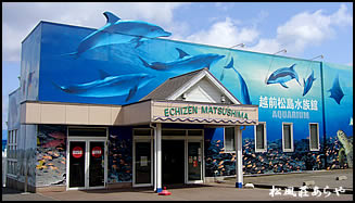 「越前松島水族館」入場券つきご宿泊
