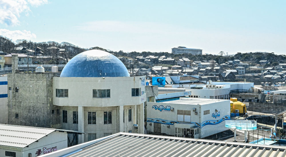 客室から見た越前松島水族館