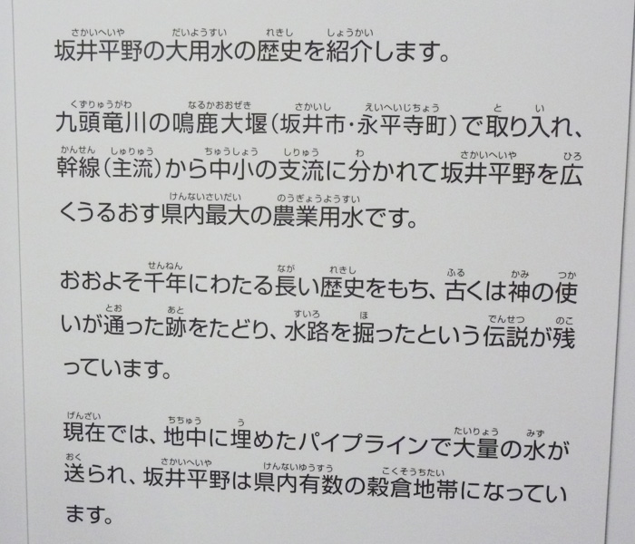 坂井市龍翔博物館