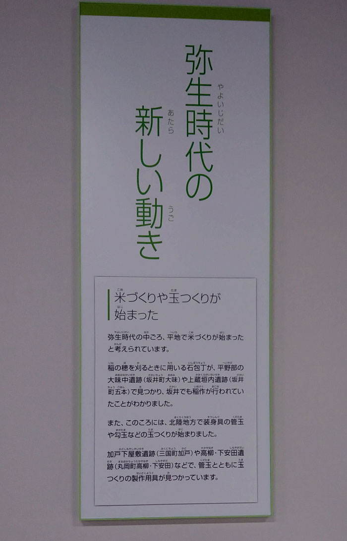 坂井市龍翔博物館