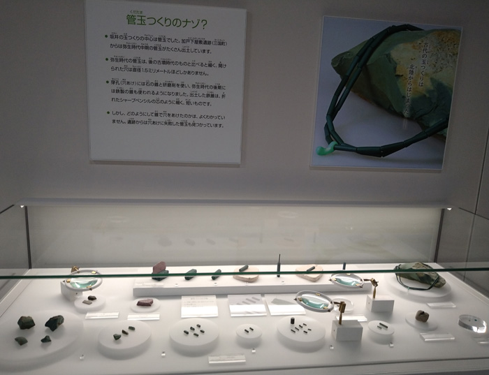 坂井市龍翔博物館