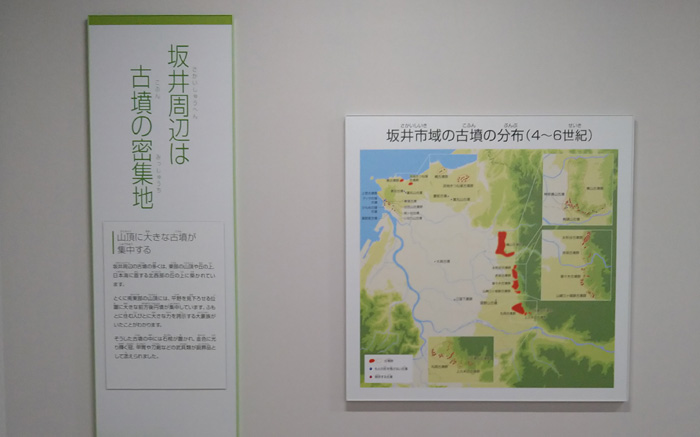 坂井市龍翔博物館