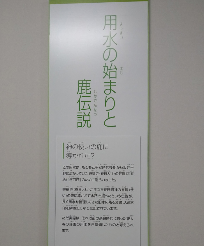 坂井市龍翔博物館