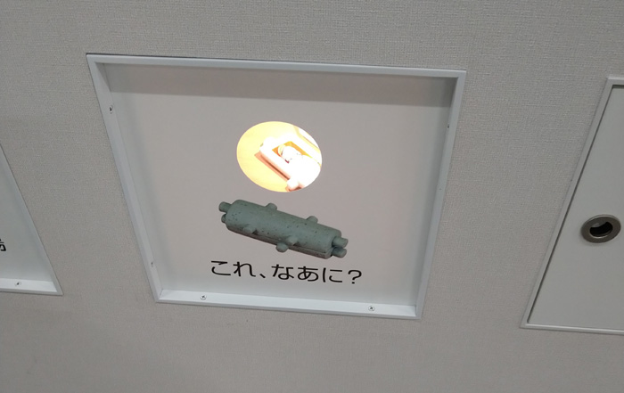 坂井市龍翔博物館
