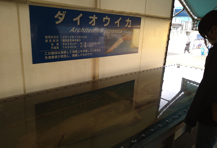 越前松島水族館