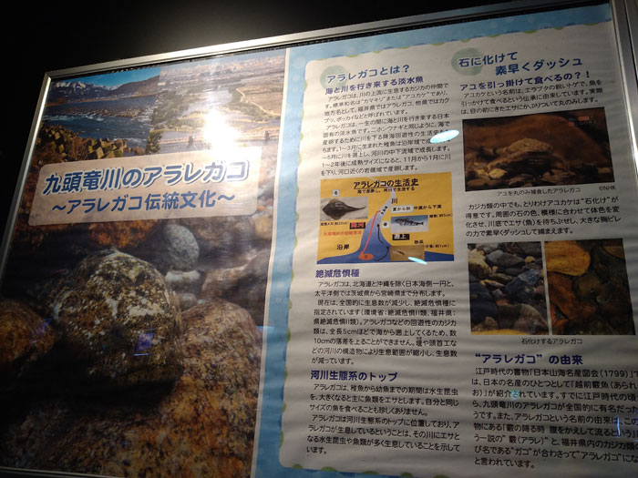 越前松島水族館