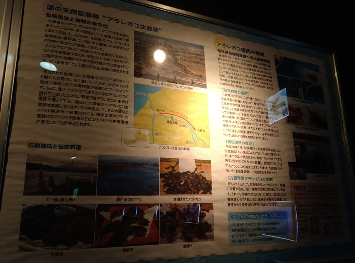 越前松島水族館