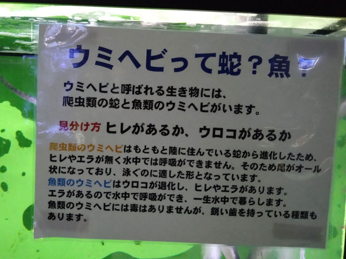 越前松島水族館