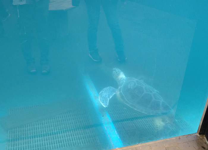越前松島水族館