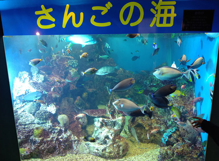 越前松島水族館