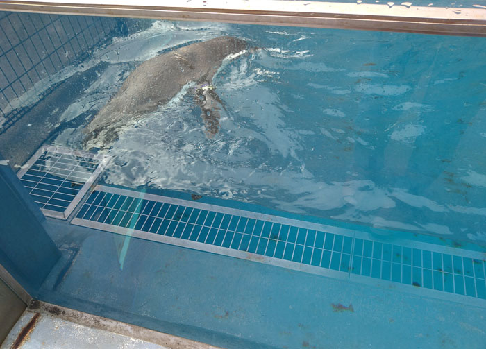 越前松島水族館