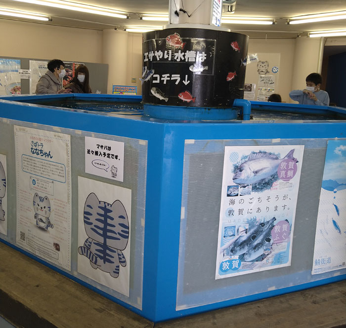 越前松島水族館