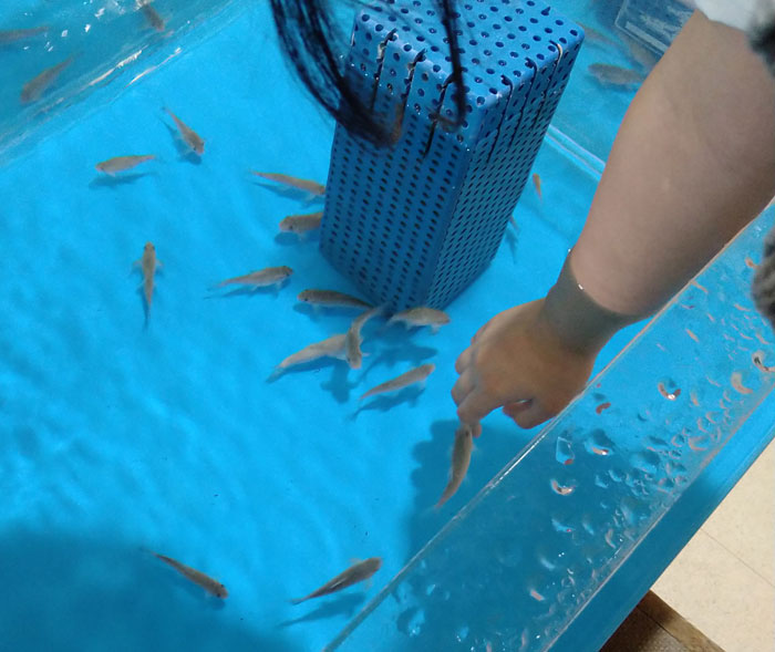 越前松島水族館