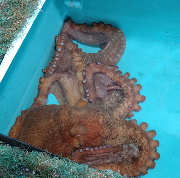 越前松島水族館