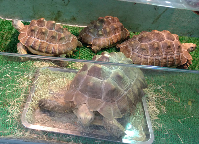 越前松島水族館