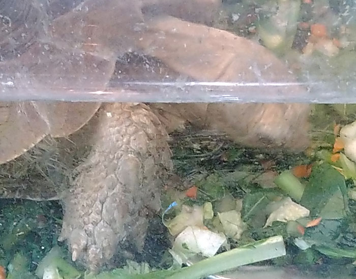 越前松島水族館