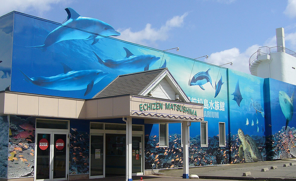 越前松島水族館