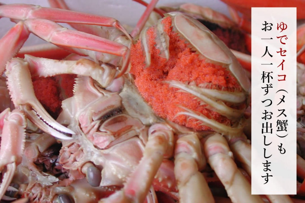 【年内限定】セイコ蟹と大サイズ蟹しゃぶ一人1杯ずつコース